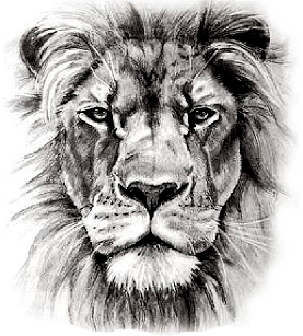 Animal Tattoo Designs